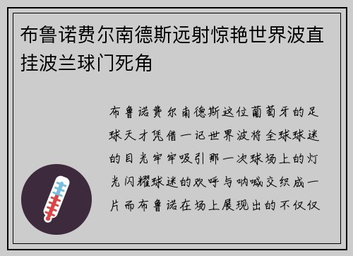 布鲁诺费尔南德斯远射惊艳世界波直挂波兰球门死角
